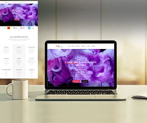 Website Design Portfolio in vadodara